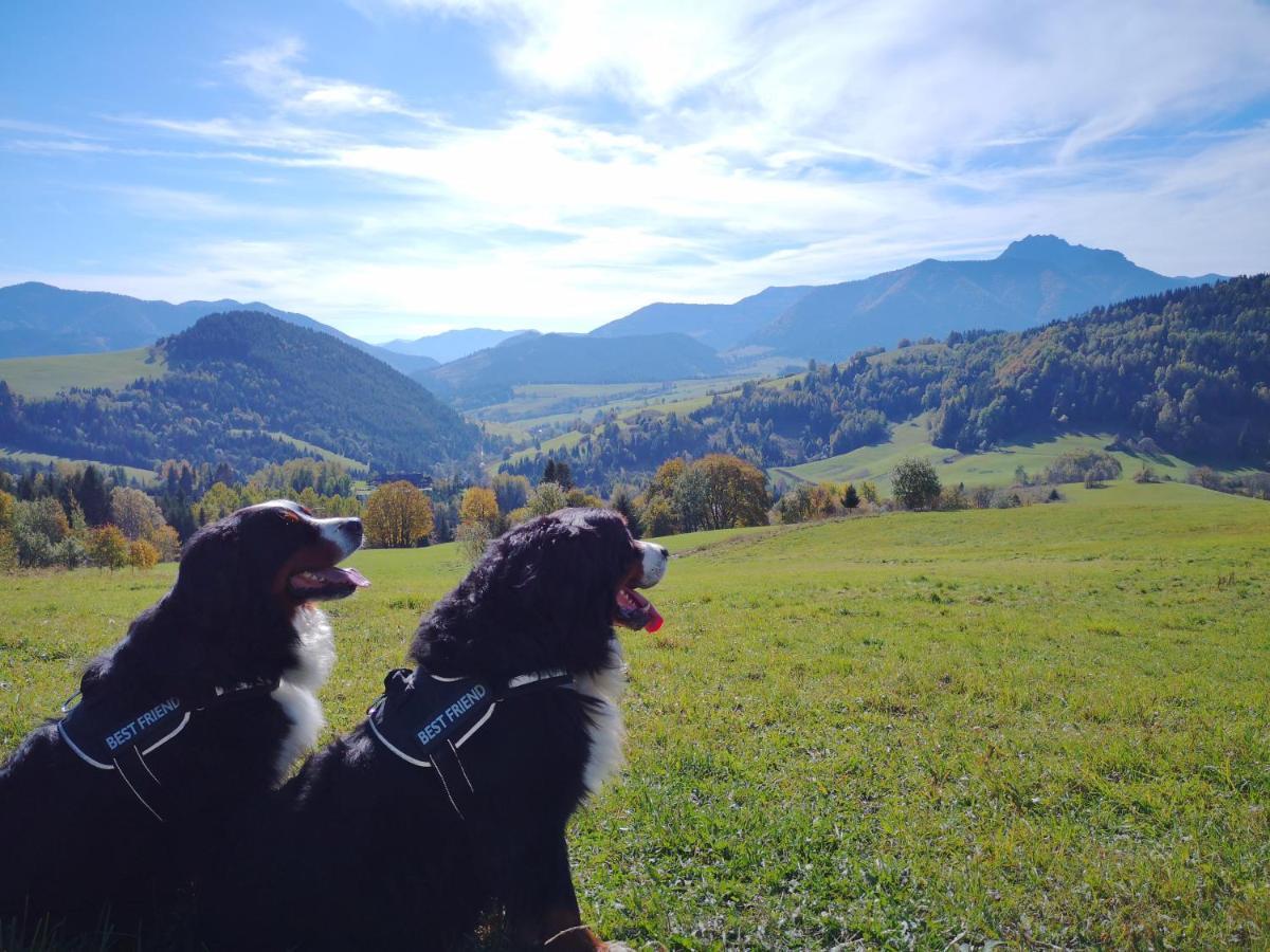 Penzion Zazrifka Zazriva Bagian luar foto