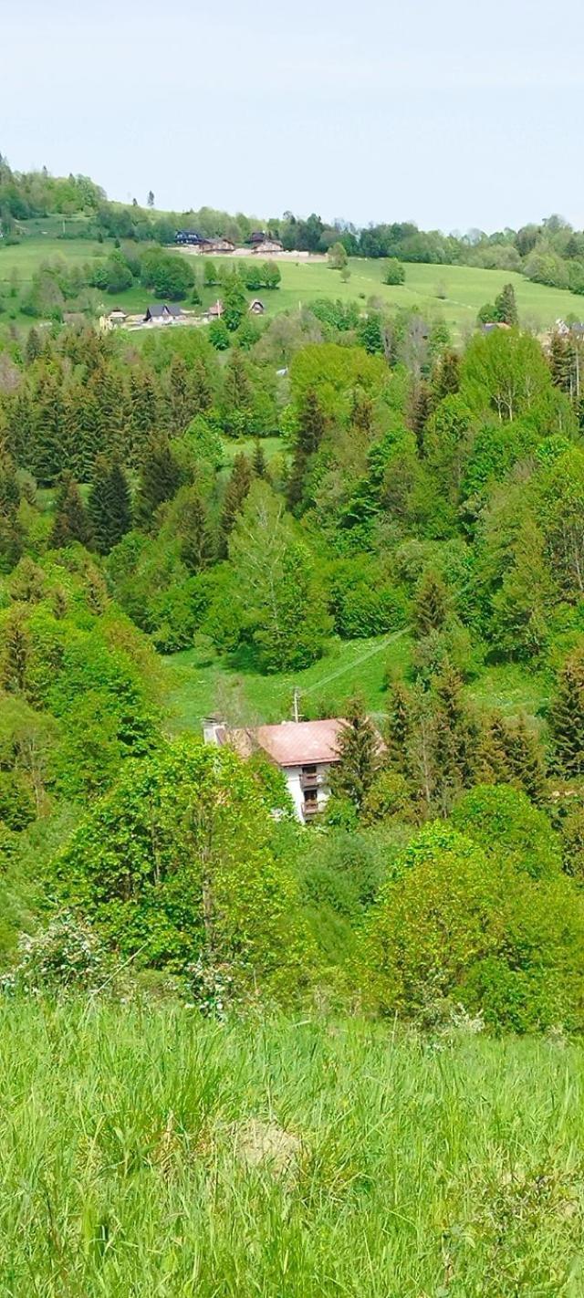 Penzion Zazrifka Zazriva Bagian luar foto
