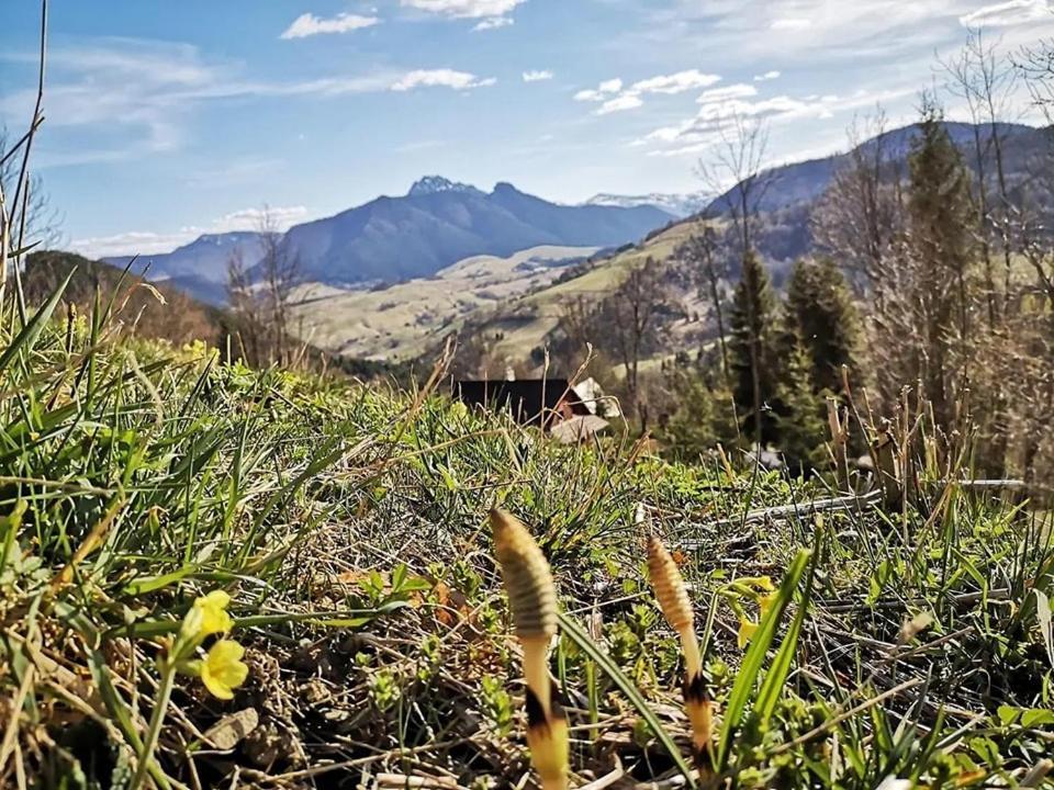 Penzion Zazrifka Zazriva Bagian luar foto
