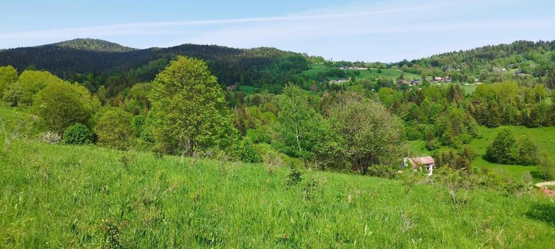 Penzion Zazrifka Zazriva Bagian luar foto