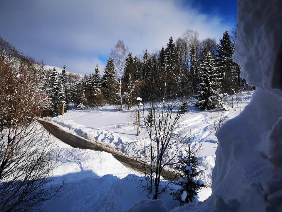 Penzion Zazrifka Zazriva Bagian luar foto