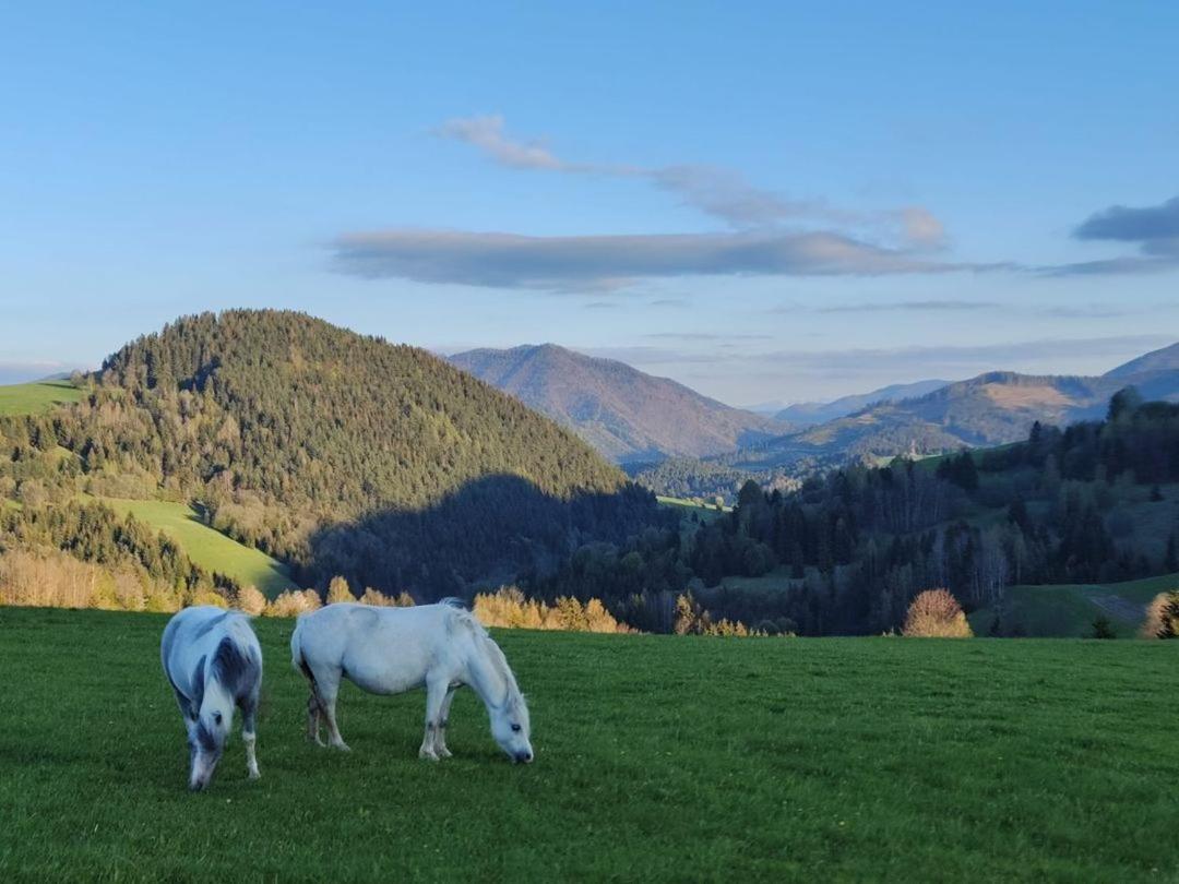 Penzion Zazrifka Zazriva Bagian luar foto