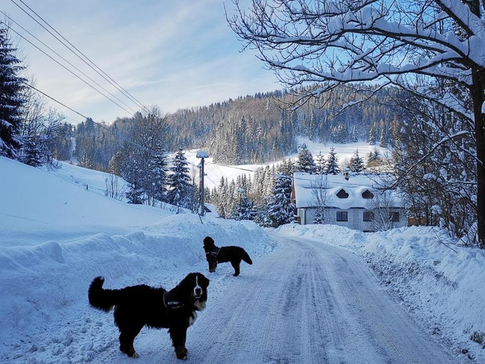 Penzion Zazrifka Zazriva Bagian luar foto