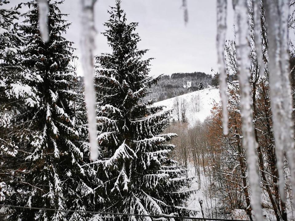 Penzion Zazrifka Zazriva Bagian luar foto