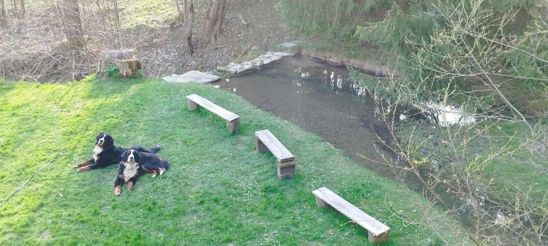 Penzion Zazrifka Zazriva Bagian luar foto